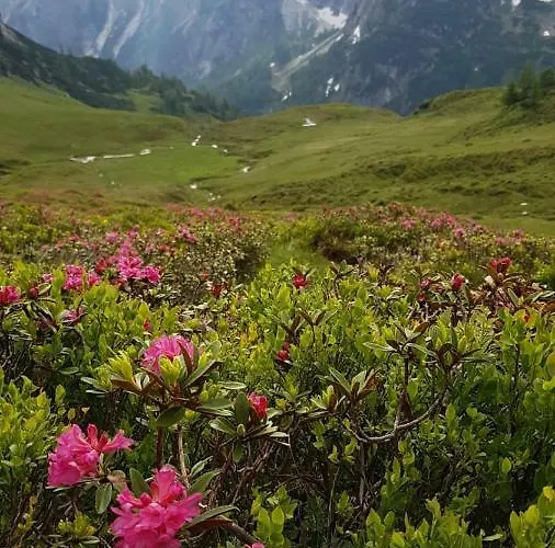 Tatil Evi Tauerngold